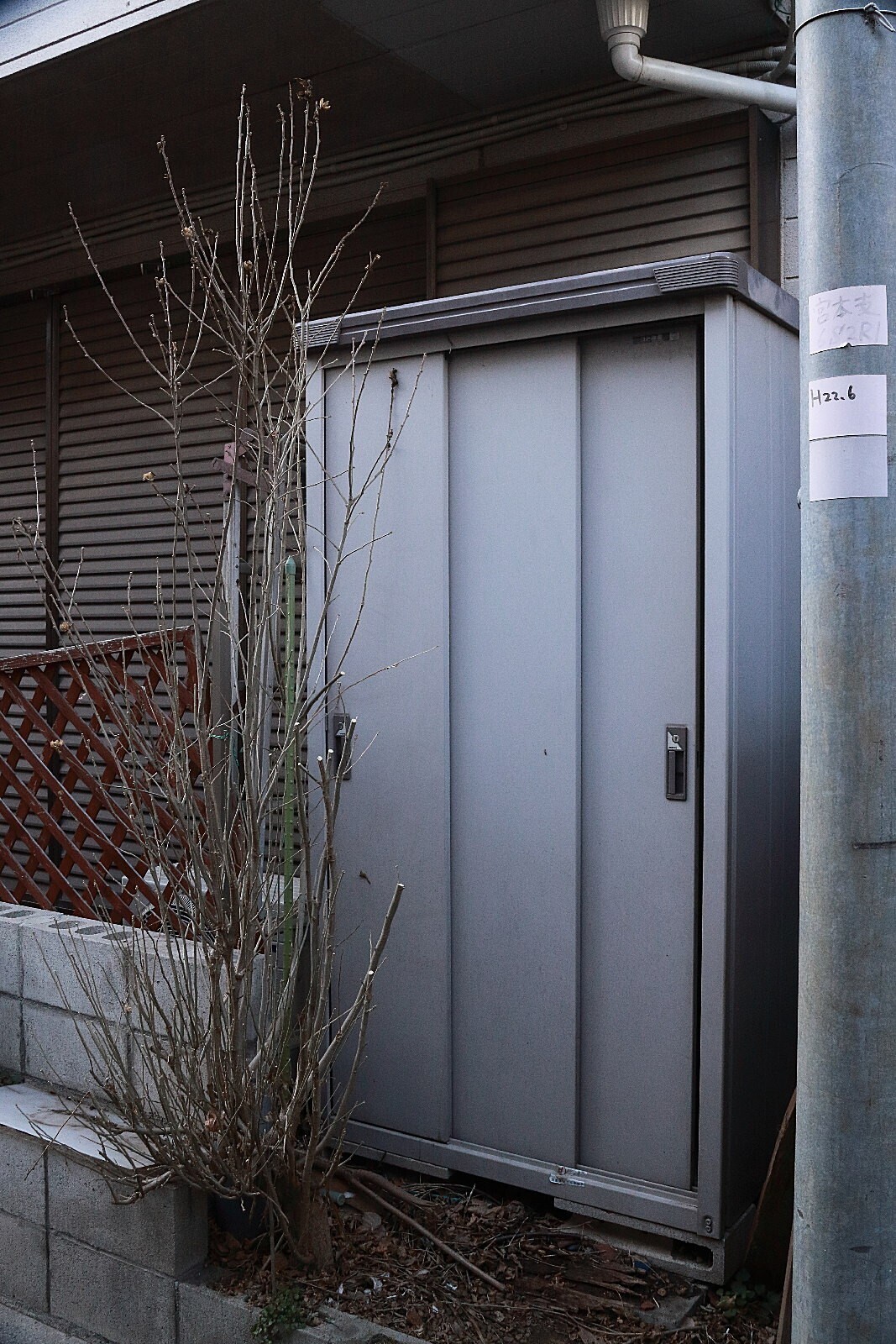  東大泉シェアハウス 一人は好きだけど孤独は嫌。自分の時間を大切にしたい男性向けのシェアハウスです。ネコの“みーこさん”が居眠り、あたたかい家。 旅好き＆鉄道好きなオーナーと、趣味の話をしませんか。 - 8枚目