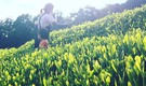【神奈川県秦野市】湧水のある暮らし、都心に近い田舎暮らしを楽しむシェアハウス！ - 4枚目
