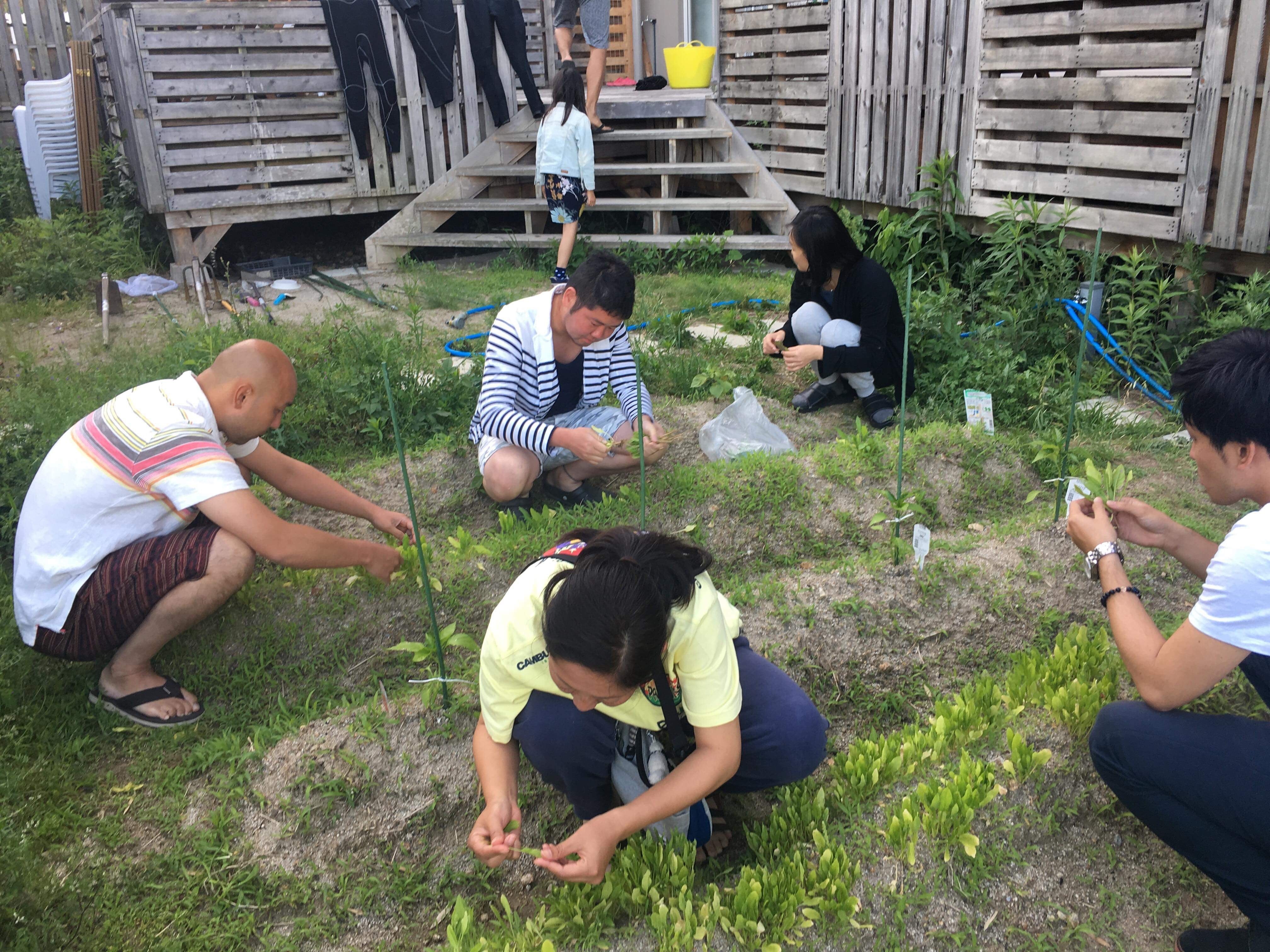 【京都】英語とアイデアが飛び交う、自然に囲まれた国際交流＆起業家シェアハウス - 3枚目