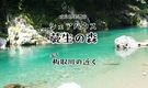 岐阜県美濃市のコスパ最強シェアハウス【清流 板取川近く】 - 1枚目