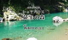 岐阜県美濃市のコスパ最強シェアハウス【清流 板取川近く】 - 1枚目