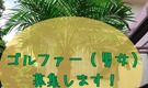 本格練習環境とイベントでゴルフ三昧！非ゴルファーは月1万円引。初心者から海外までゴルフを愉しむ家！ - 1枚目