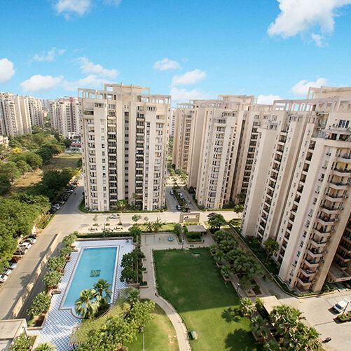 Prestige Evergreen