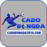 Cá độ bóng đá online